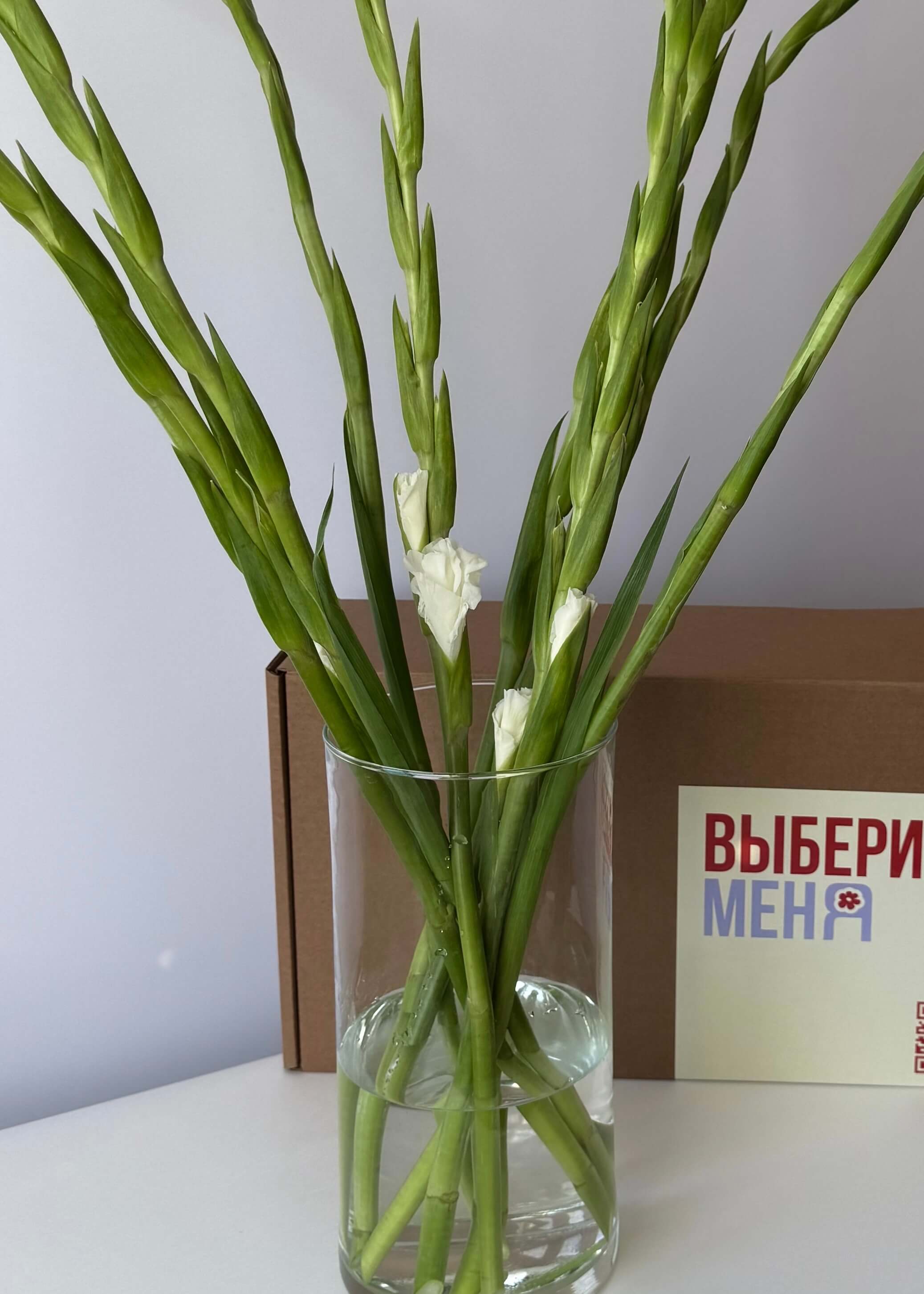 Белые гладиолусы