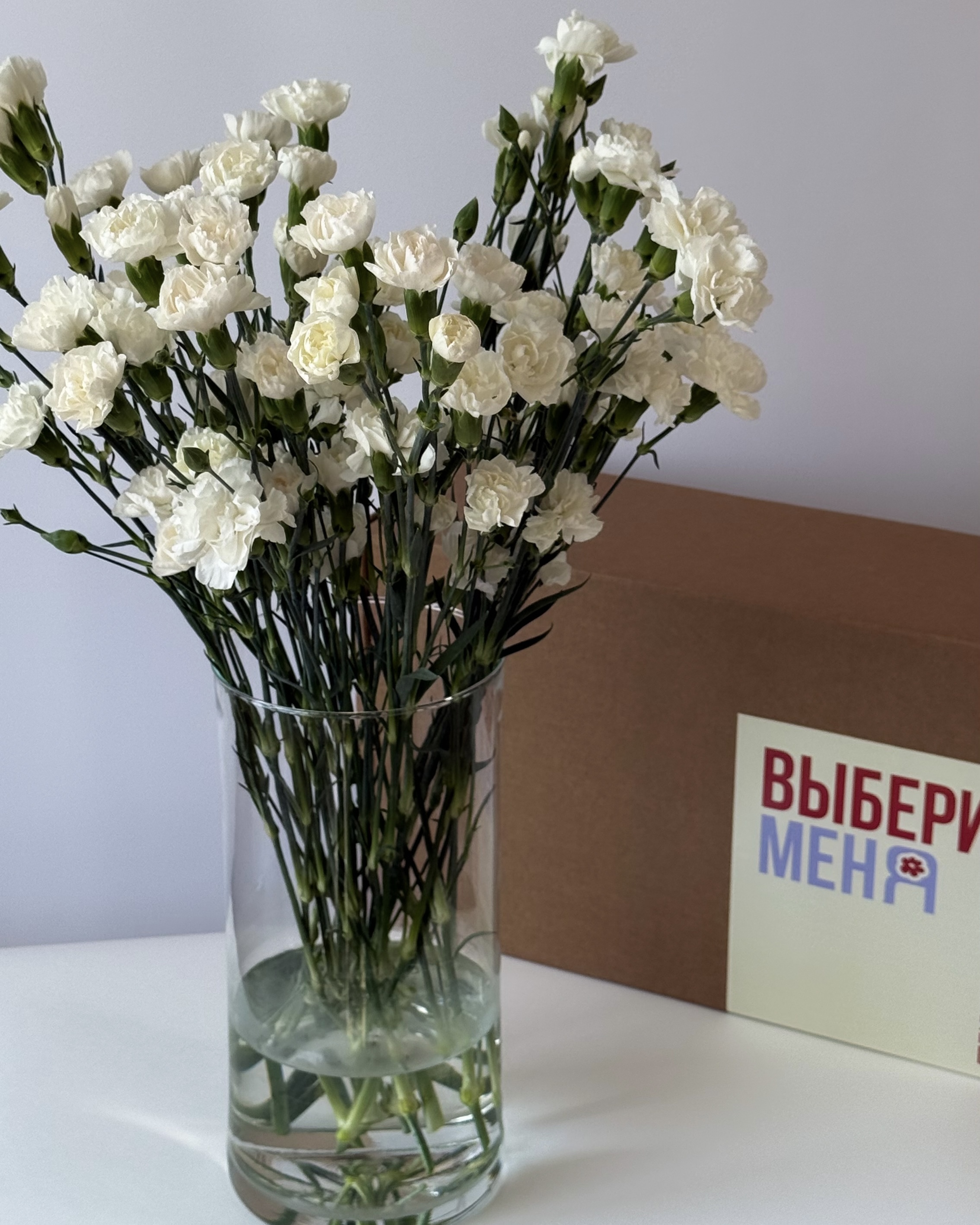 Гвоздика кустовая белая