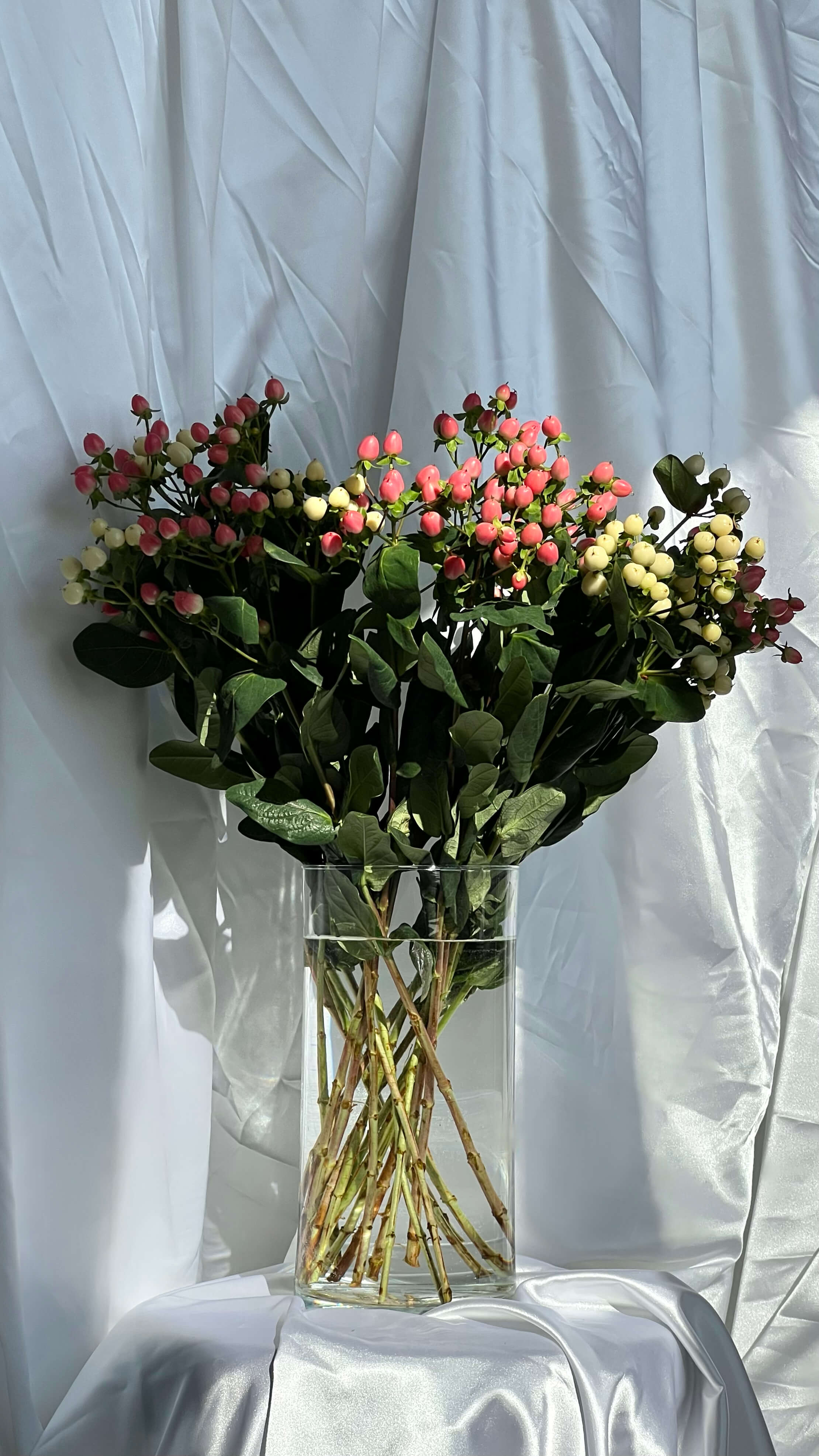 Гиперикум микс