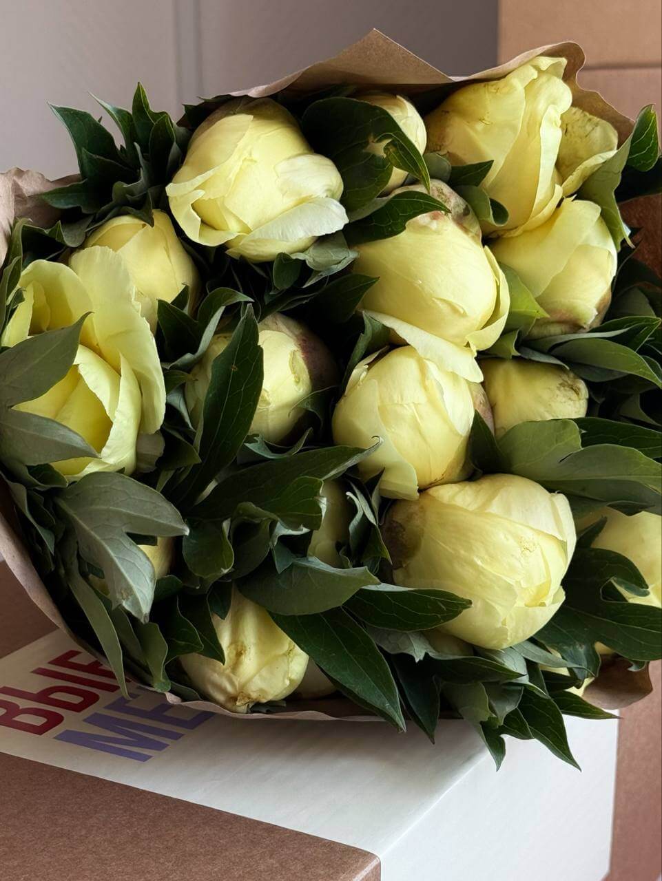Пионы Лимон Шифон (Краснодар)