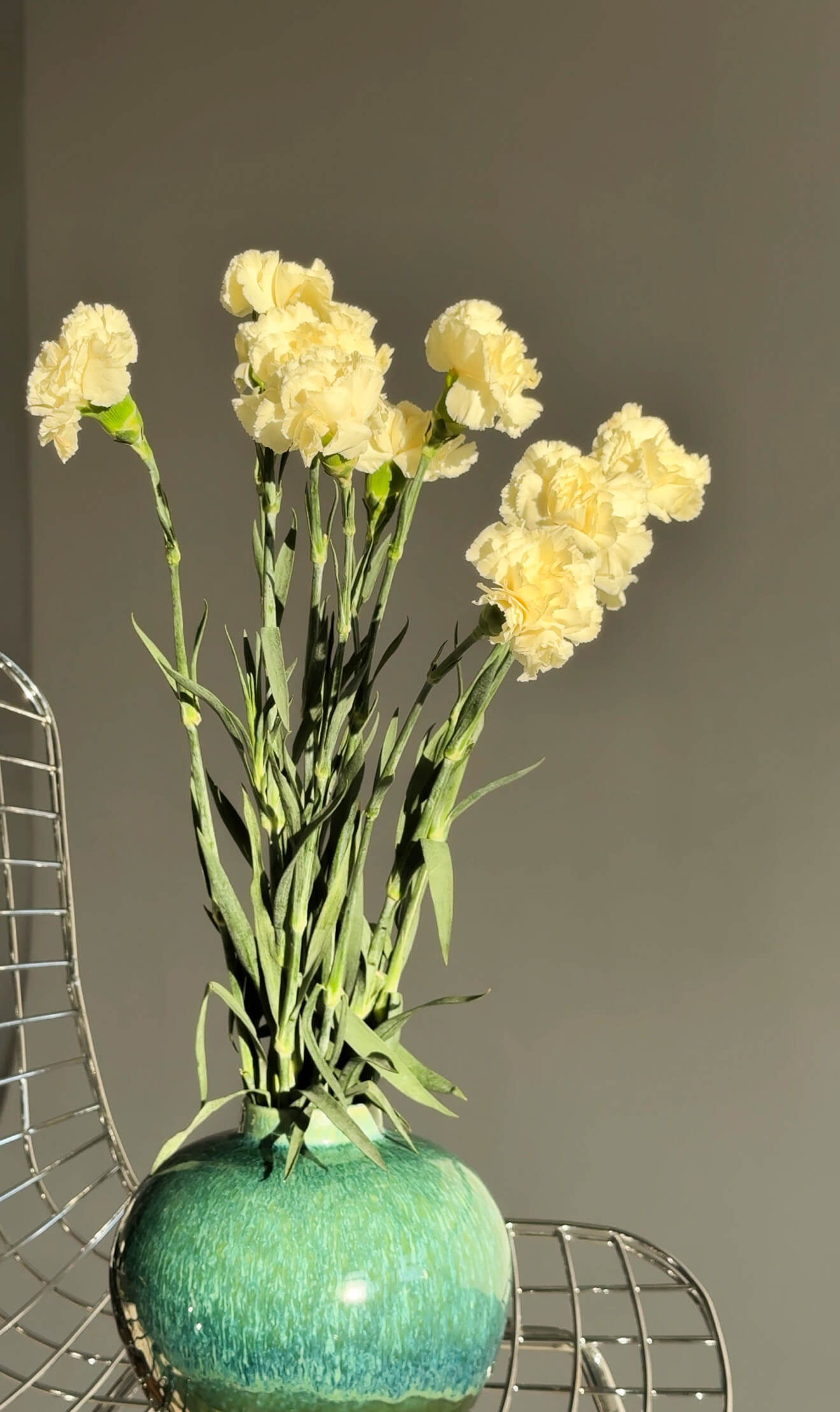 Диантус лимонный