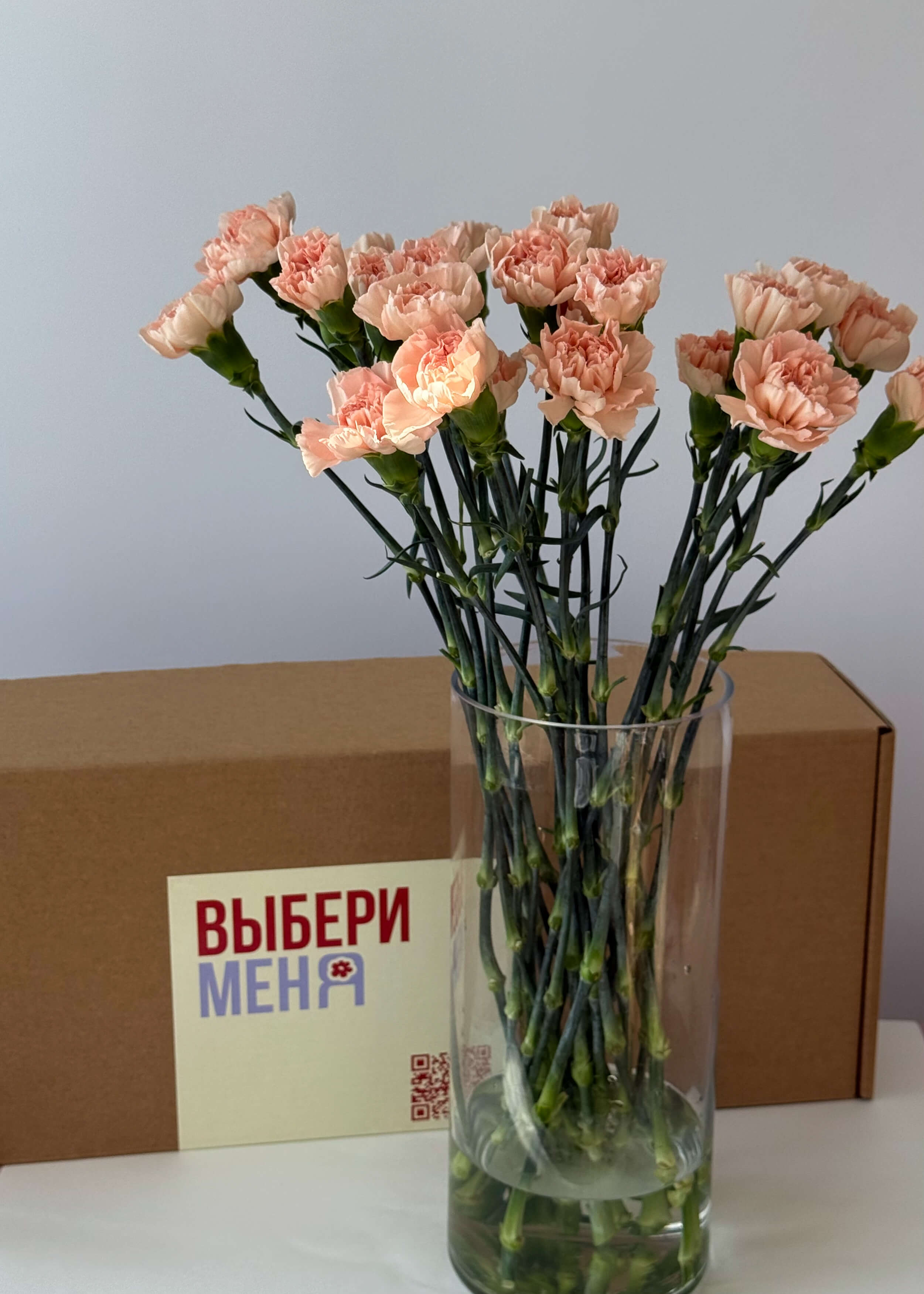 Диантус персиковый