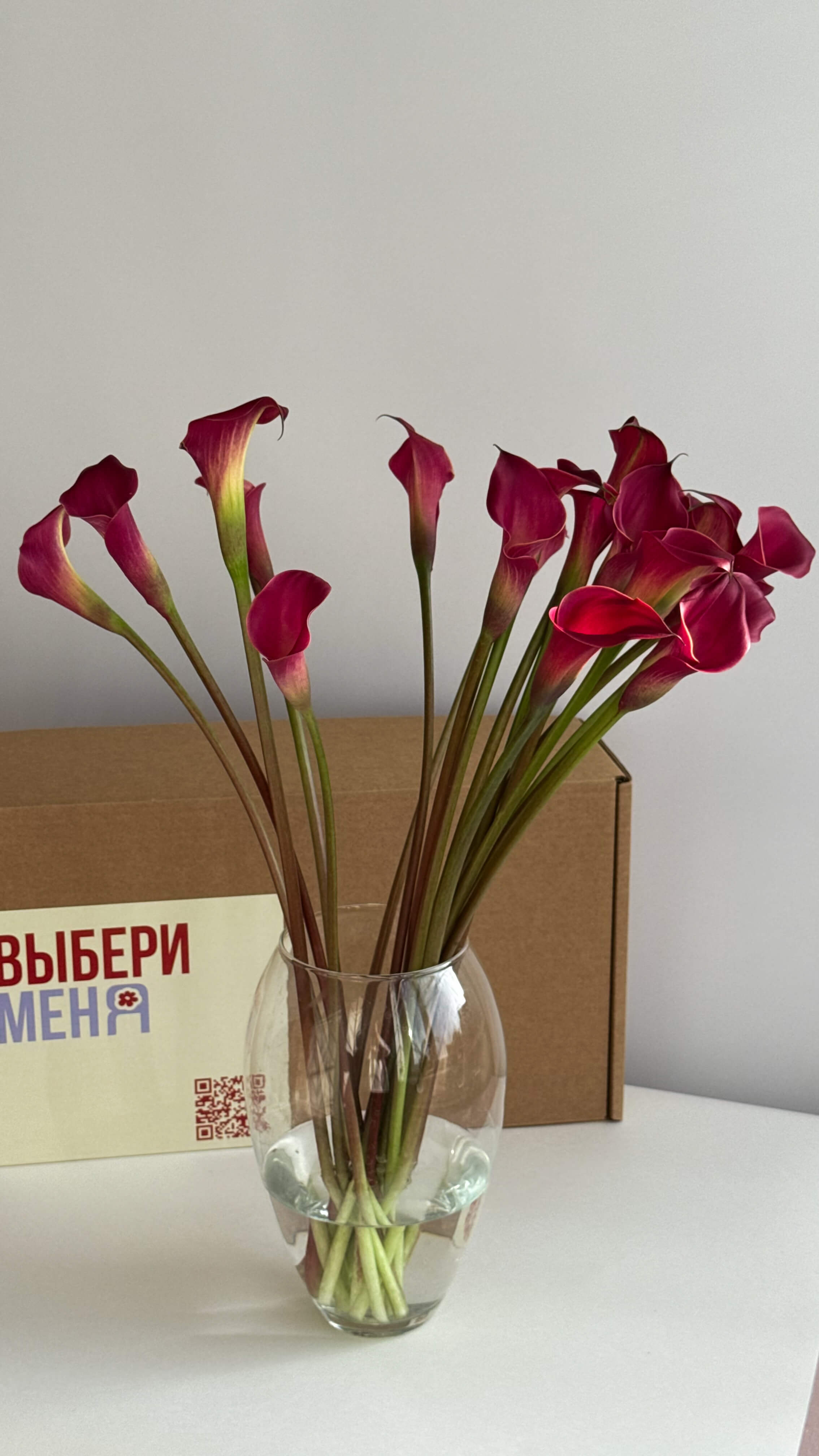 Каллы Бордо