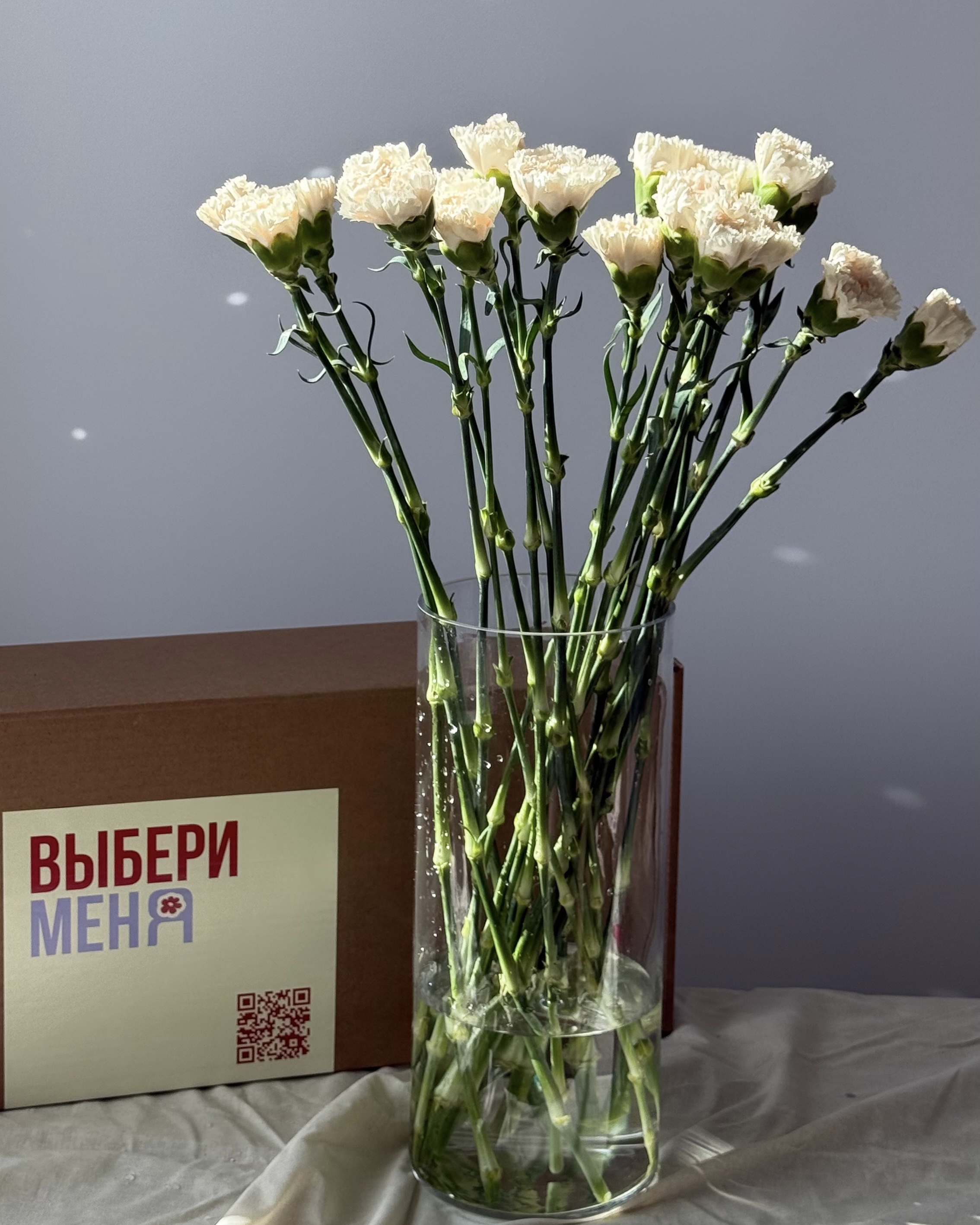 Диантус брют