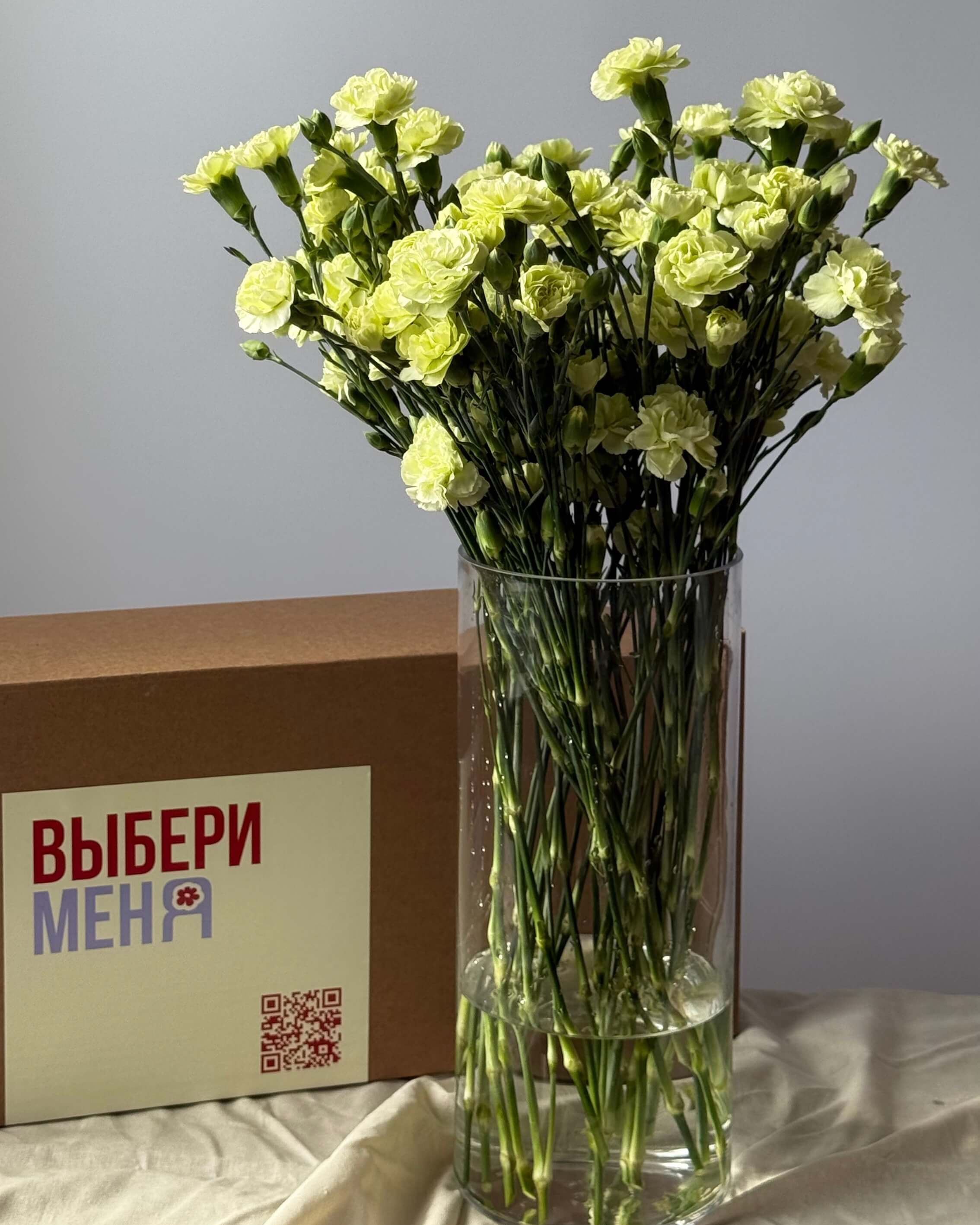Гвоздика кустовая зелёная