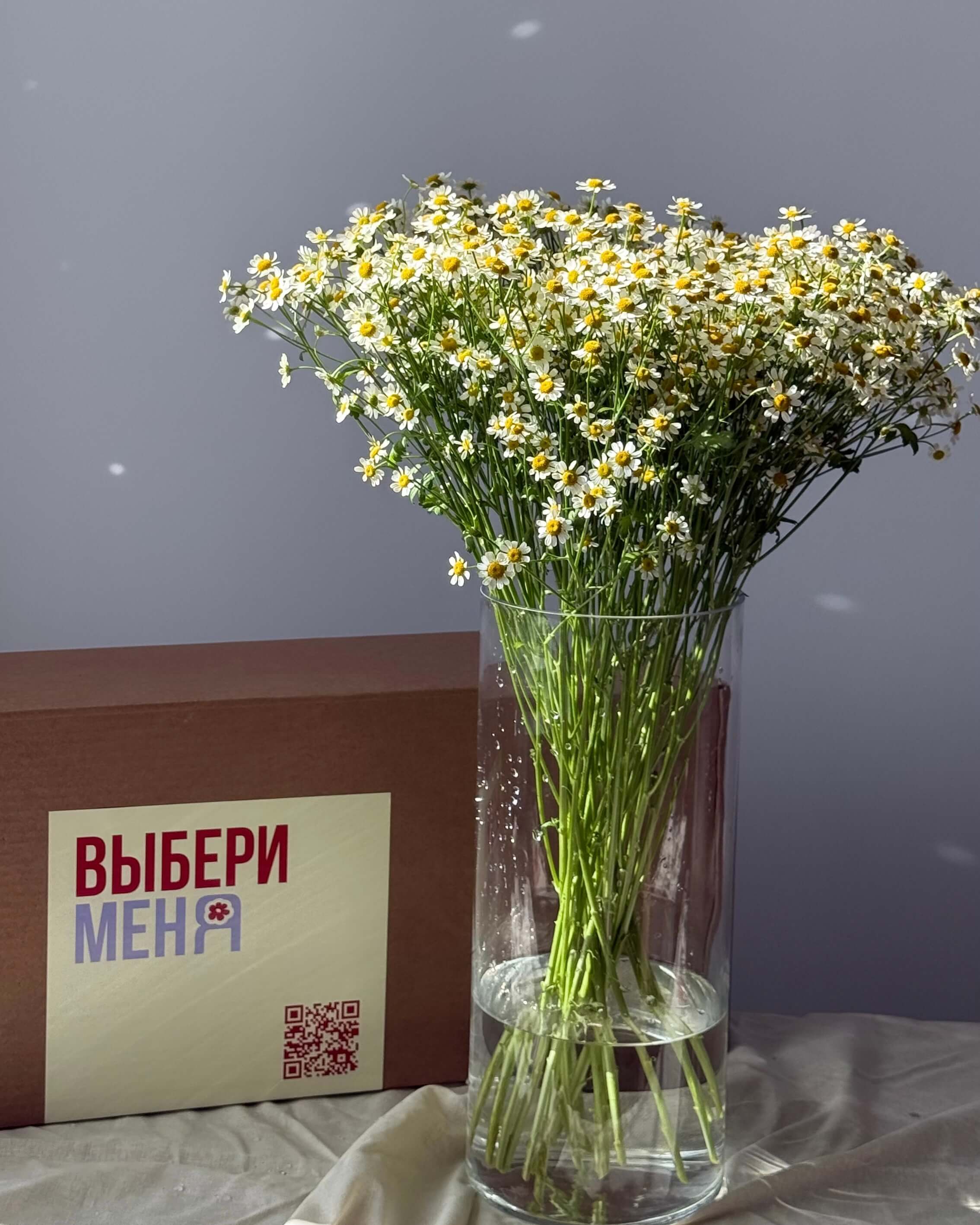 Ромашки кустовые