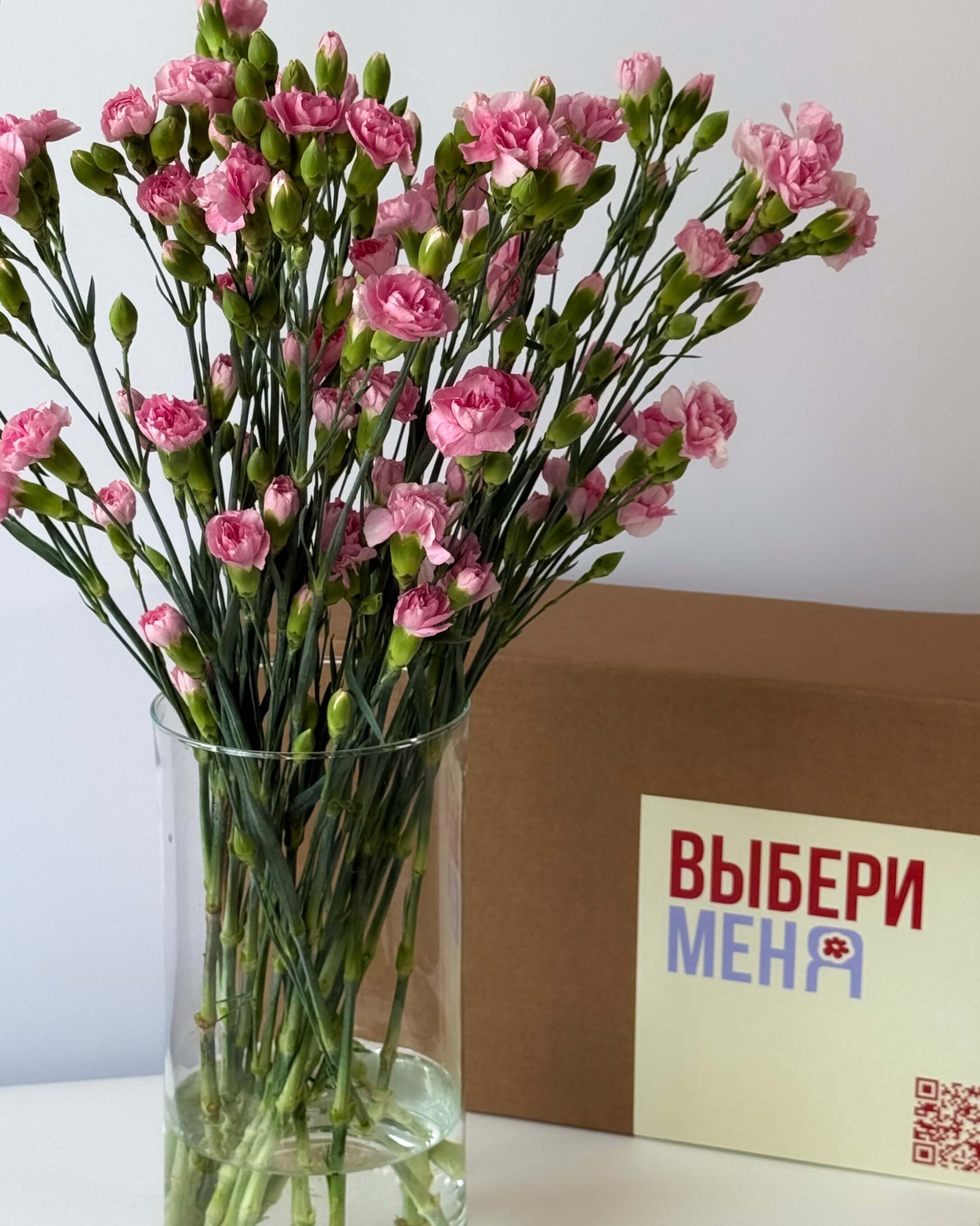 Розовая кустовая гвоздика