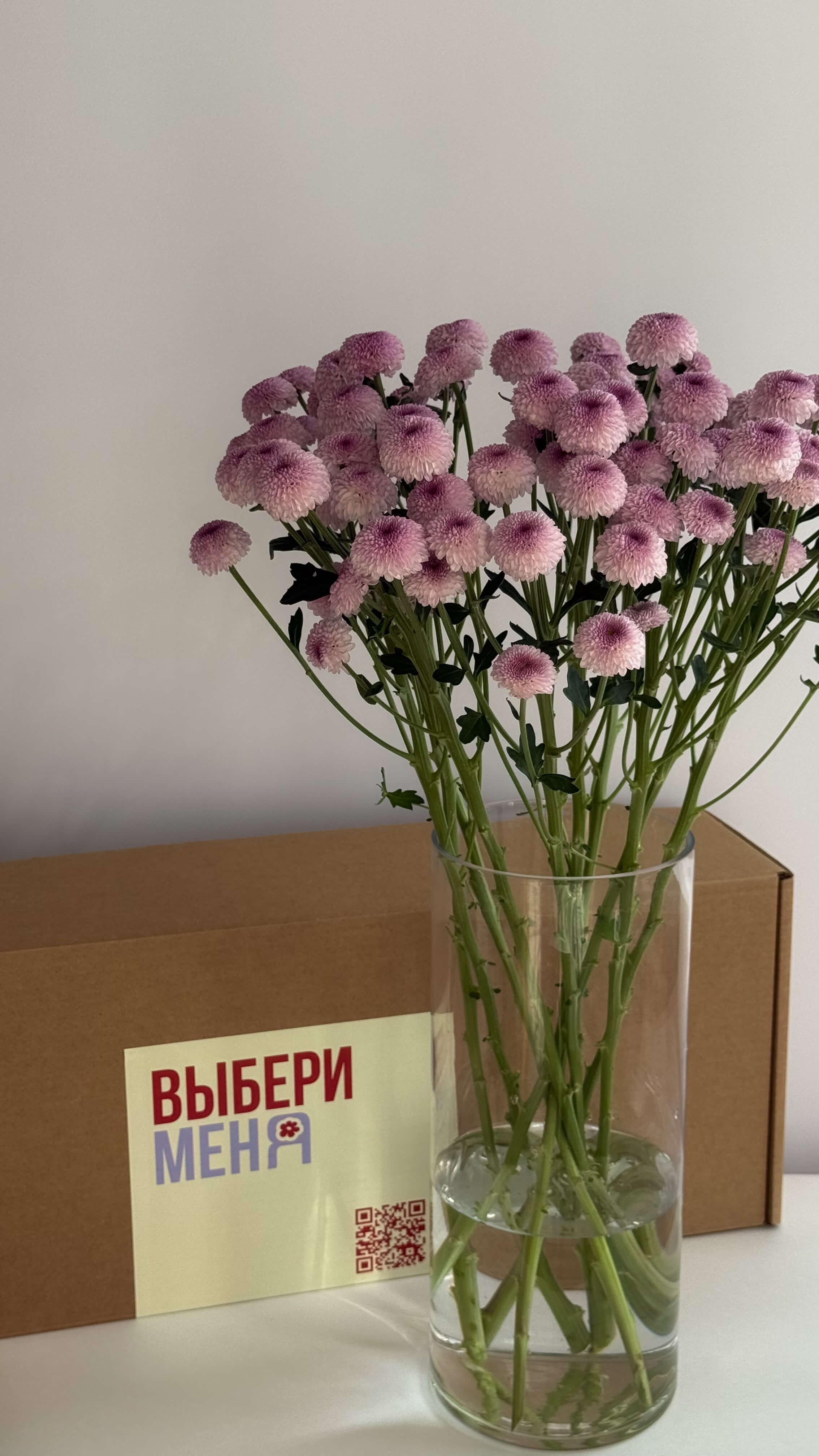 Кустовая хризантема «Шугарбани»